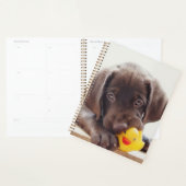 Chocolate Labrador Puppy With Toy Duck Planner (Display)