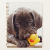 Chocolate Labrador Puppy With Toy Duck Planner (Voorkant)