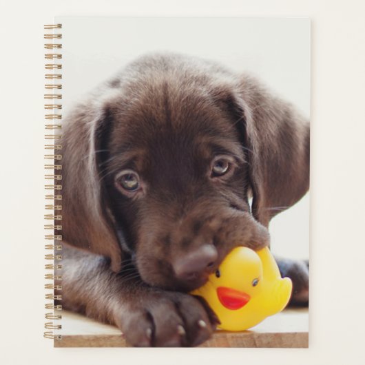 Chocolate Labrador Puppy With Toy Duck Planner (Voorkant)
