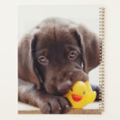 Chocolate Labrador Puppy With Toy Duck Planner (Achterkant)