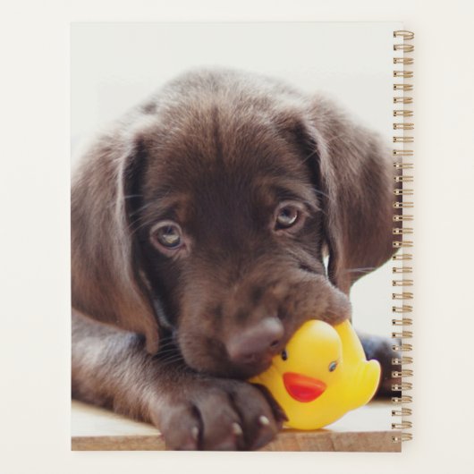 Chocolate Labrador Puppy With Toy Duck Planner (Achterkant)