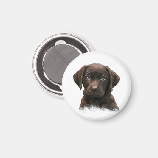 Chocolate Labrador Retriever Brown Magneet (Voorkant / Achterkant)