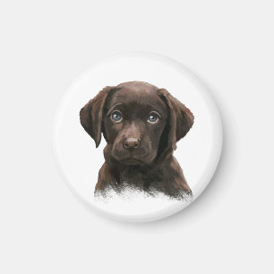 Chocolate Labrador Retriever Brown Magneet