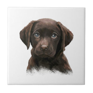 Chocolate Labrador Retriever Brown Tegeltje