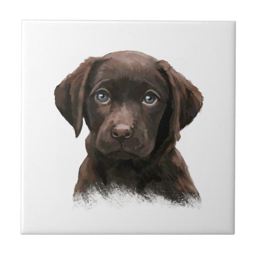 Chocolate Labrador Retriever Brown Tegeltje (Voorkant)