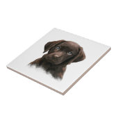 Chocolate Labrador Retriever Brown Tegeltje (Zijkant)