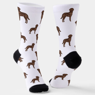 Chocolate Labrador Retriever Bruine Hond Patroon Sokken