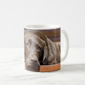 Chocolate Labrador Retriever Close-up foto Koffiemok (Voorkant rechts)