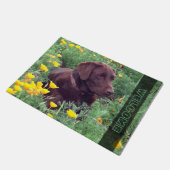 Chocolate Labrador Retriever Dog in Oranje papaver Deurmat (Schuin)