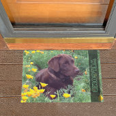 Chocolate Labrador Retriever Dog in Oranje papaver Deurmat
