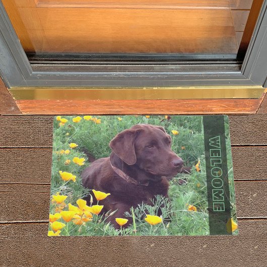 Chocolate Labrador Retriever Dog in Oranje papaver Deurmat