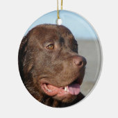 Chocolate Labrador Retriever Dog Ornament (Links)