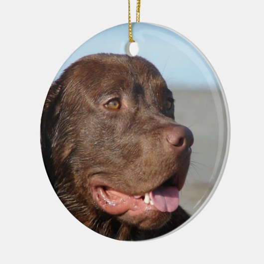 Chocolate Labrador Retriever Dog Ornament (Links)