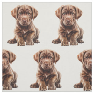Chocolate Labrador Retriever hond Stof