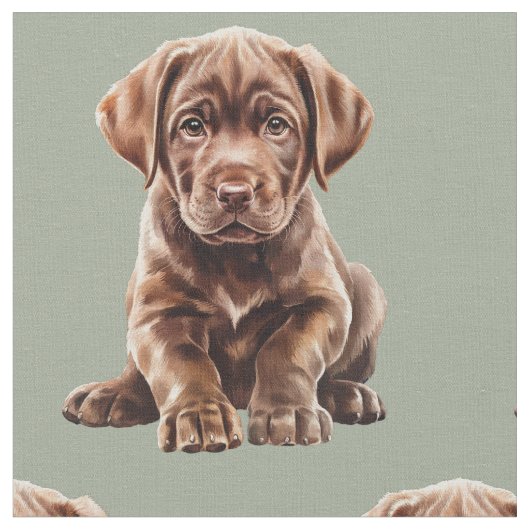 Chocolate Labrador Retriever hond  Stof (Close Up)