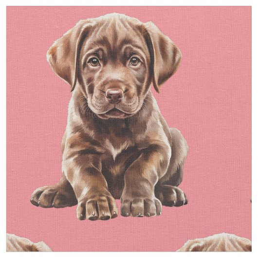 Chocolate Labrador Retriever Hond Stof (Close Up)
