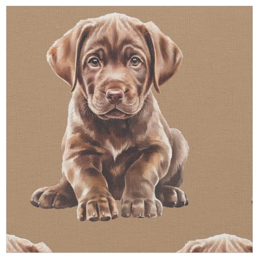 Chocolate Labrador Retriever Hond Stof (Close Up)