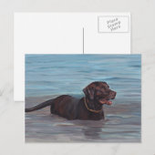 Chocolate Labrador Retriever in waterkaart Briefkaart (Voorkant / Achterkant)