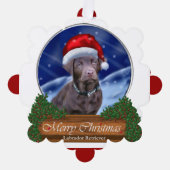 Chocolate Labrador Retriever kerstcadeaus Ornament Kaart (Voorkant)