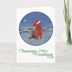 Chocolate Labrador Retriever Kerstmis Feestdagen Kaart