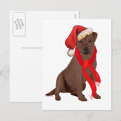 Chocolate Labrador Retriever Kerstmis Feestdagenkaart (Voorkant / Achterkant)