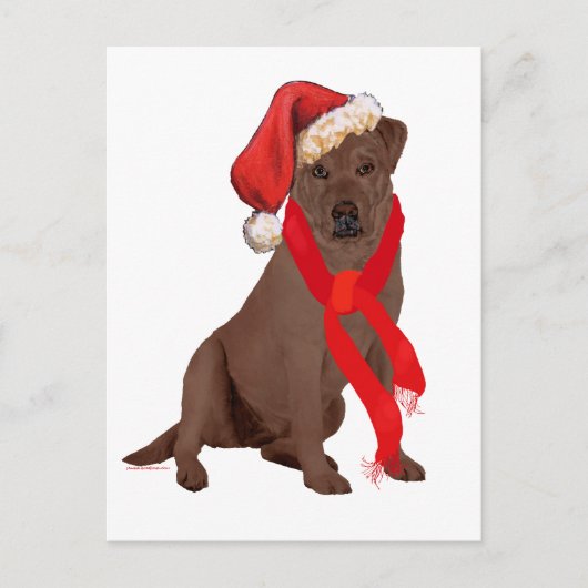 Chocolate Labrador Retriever Kerstmis Feestdagenkaart (Voorkant)
