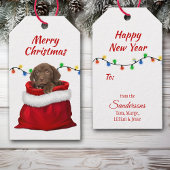 Chocolate Labrador Retriever Puppy in Santa Bag Cadeaulabel