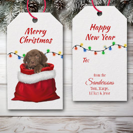 Chocolate Labrador Retriever Puppy in Santa Bag Cadeaulabel