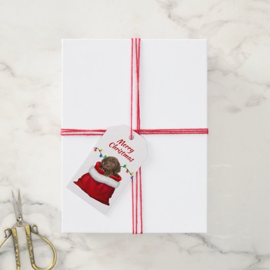 Chocolate Labrador Retriever Puppy in Santa Bag Cadeaulabel (Met Touw)
