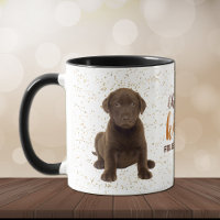 Chocolate Labrador Retriever Puppy Kisses