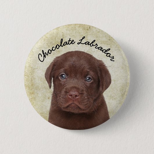 Chocolate Labrador Ronde Button 5,7 Cm (Voorkant)