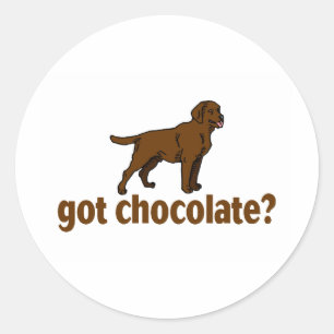 Chocolate Labrador Ronde Sticker