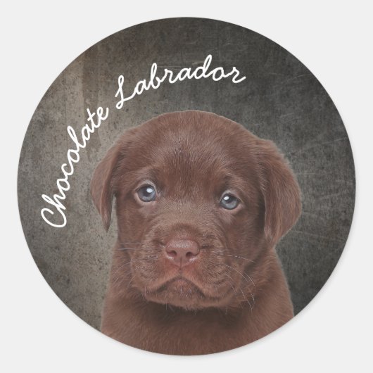 Chocolate Labrador Ronde Sticker (Voorkant)