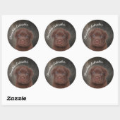 Chocolate Labrador Ronde Sticker (Vel)