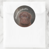 Chocolate Labrador Ronde Sticker (Tas)