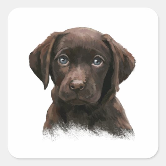 Chocolate Labrador Vierkante Sticker (Voorkant)