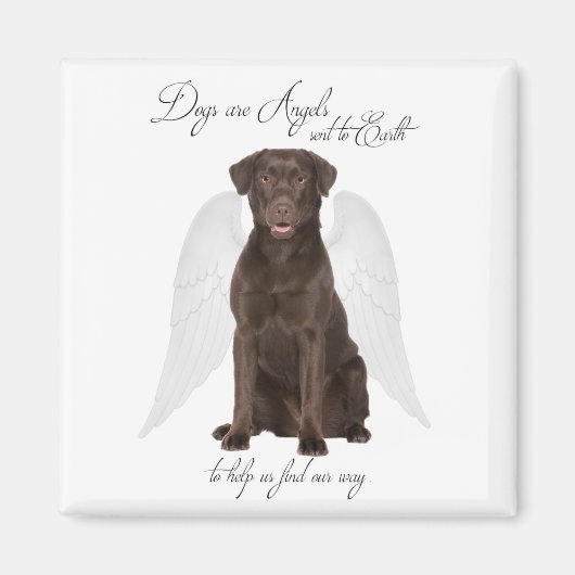 Chocolate Labs zijn Angels Magnet (Voorkant)