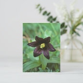 Chocolate Lily Briefkaart (Staand voorkant)