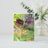 Chocolate Lily Briefkaart (Staand voorkant)