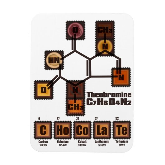 CHoCoLaTe Magneet (Verticaal)