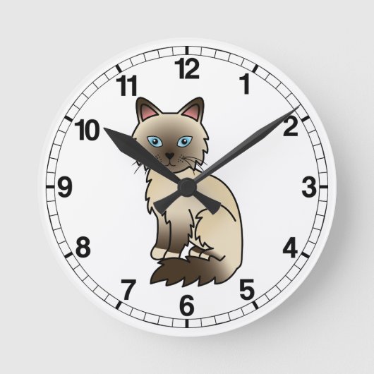 Chocolate Point Birmaanse / Ragdoll kat Ronde Klok (Voorkant)