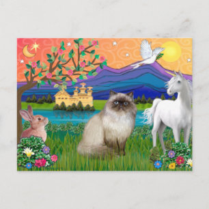 Chocolate Point Himalayaanse Kat - Fantasieland Briefkaart