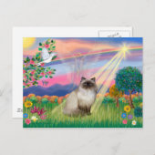 Chocolate Point Himalayan Cat - Cloud Angel Briefkaart (Voorkant / Achterkant)