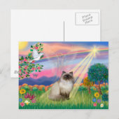 Chocolate Point Himalayan Kat -  Engel in de Wolke Briefkaart (Voorkant / Achterkant)
