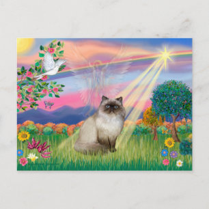 Chocolate Point Himalayan Kat -  Engel in de Wolke Briefkaart