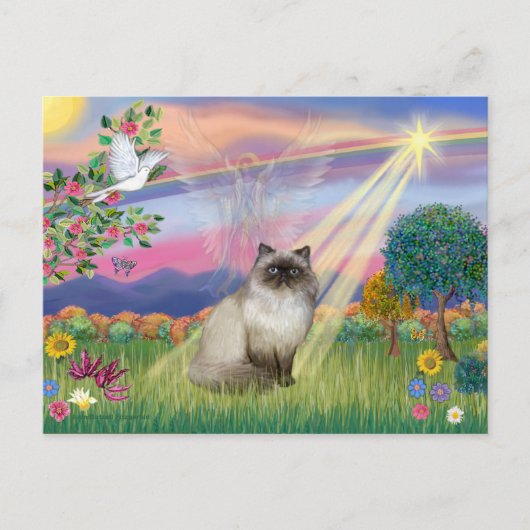 Chocolate Point Himalayan Kat -  Engel in de Wolke Briefkaart (Voorkant)