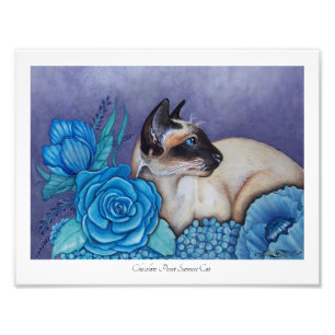 Chocolate Point Siamese Foto Afdruk