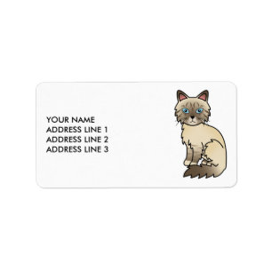 Chocolate Point Tabby Birman/Ragdoll & Aangepaste  Etiket