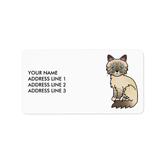 Chocolate Point Tabby Birman/Ragdoll & Aangepaste  Etiket (Voorkant)