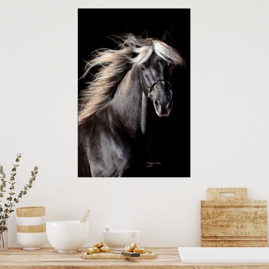 Chocolate Rocky Mountain Horse Poster (Keuken)